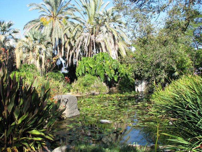 дендрарий и ботанический сад города Аркадия