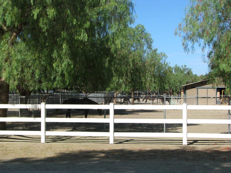 Катание на лошадях по долине виноделия в Калифорнии