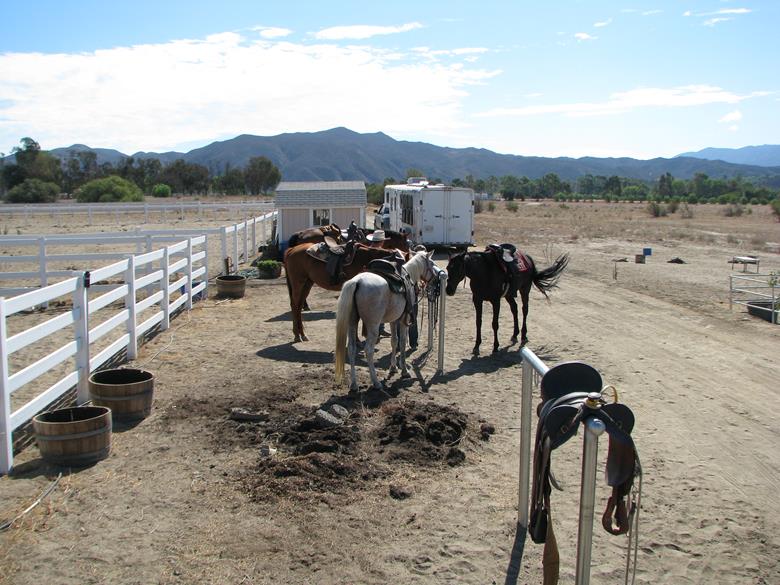 Катание на лошадях по долине виноделия в Калифорнии