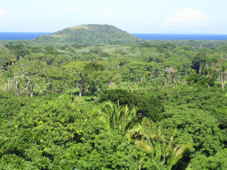 Дайвинг на острове Утила в Гондурасе